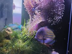 -嘉兴海底世界