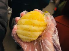 -秀丽东方