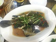 蒸青斑-原龙海鲜大排档(美食地标店)