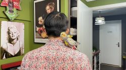 -Brother Barber Shop男士理发店