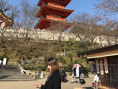 -有栖山 清光院 清水寺