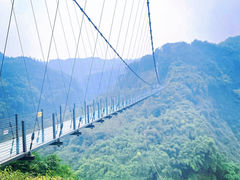 -川西竹海景区