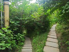-清凉山国家森林公园