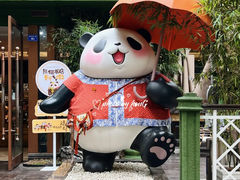 -轩客会(熊猫书店)