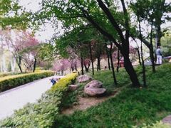 -西安市长乐公园
