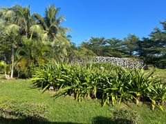 -亚龙湾国际玫瑰谷