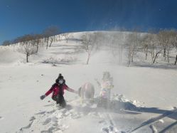 -大秃顶子山