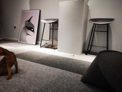 -米宠家·撸猫猫咖小萌宠·猫咪洗澡·猫咪寄养(高新大都荟店)