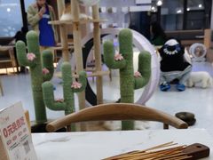 -喵园·猫主题咖啡厅·撸猫·猫咖(国贸店)