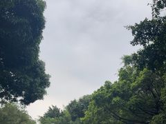 -南宁南湖公园