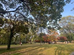 -洛阳市隋唐城遗址植物园