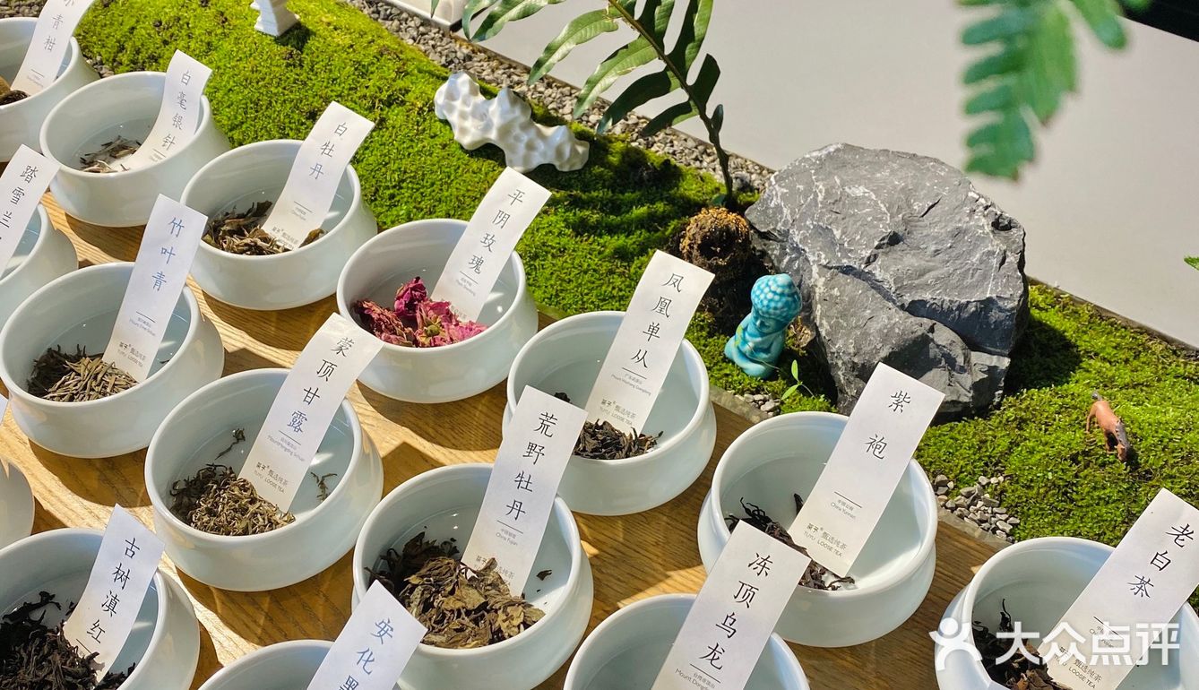 变身爱丽丝🧚‍♀️喝一次绿野仙踪的下午茶