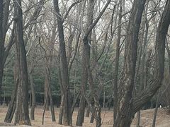 -森林公园(尖草坪区)