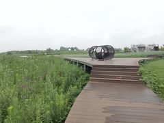-空港花田景区