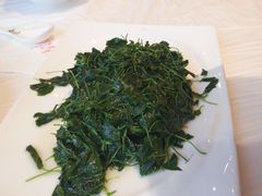 清炒秧草-鸿运酒楼