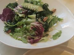 -南山鲜虾面·活鲜小馆·海味大连菜(南山总店)