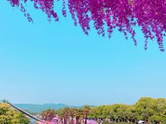 -苏州太湖西山岛开心农场