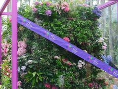-深圳仙湖植物园