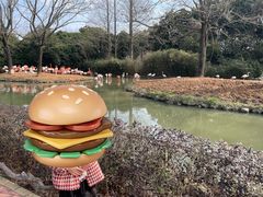 -上海野生动物园