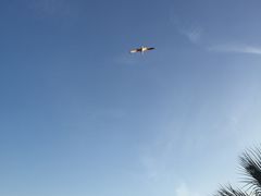 -小巴塞罗那海滩