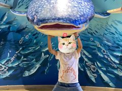 -烟台海昌鲸鲨海洋公园