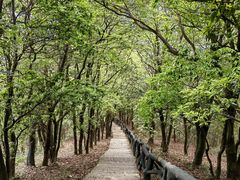 -梧桐山风景名胜区