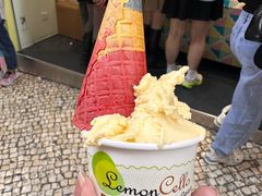 -柠檬车露(卖草地店)