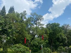 -广州雕塑公园
