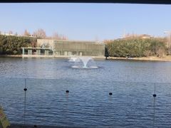 -春晖园度假酒店温泉