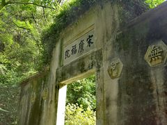 -龙井村