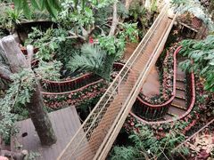 -正佳雨林生态植物园