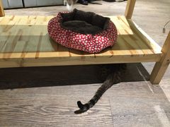 -小时光咖啡馆(开森度假森林店)