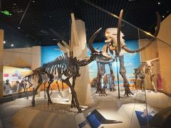 -国家自然博物馆
