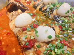 -鱼酷活鱼烤鱼(南京水游城店)