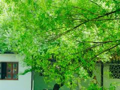-西园戒幢律寺