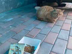-萌兽医馆·犬猫专科·眼科中心·宠物医院(朝阳门分院)