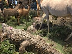 -陕西自然博物馆