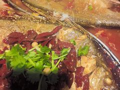 -马有鱼·馕坑烤全鱼(美美2店)