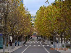 -山东大学(威海校区)