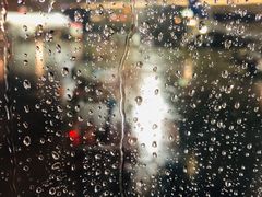 -纽瓦克自由国际机场