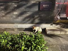 -李叔同故居纪念馆