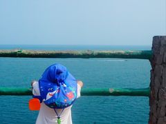 -广东惠东海龟国家级自然保护区