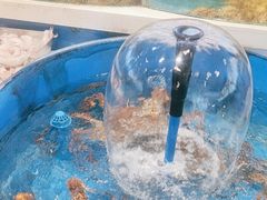 -北塘海鲜·天津菜(大光明桥旗舰店)