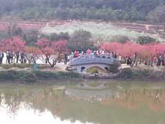 iphone_upload_pic-南国桃园旅游度假区