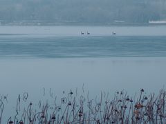 景点-南海子公园