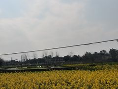 -黄龙溪古镇