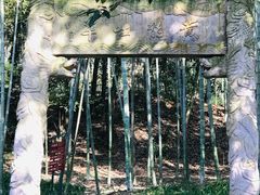 -杭州黄龙洞