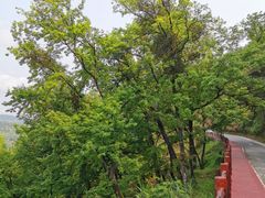 -广州市石门国家森林公园