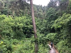 -梦姑塘文化公园