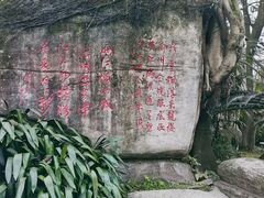 -鹅岭公园瞰胜楼